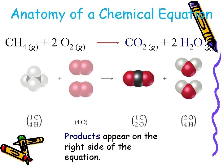 Anatomy of a Chemical Equation CH 4 (g) + 2 O 2 (g) CO