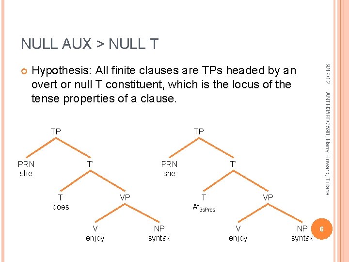 NULL AUX > NULL T TP PRN she TP T’ T does PRN she