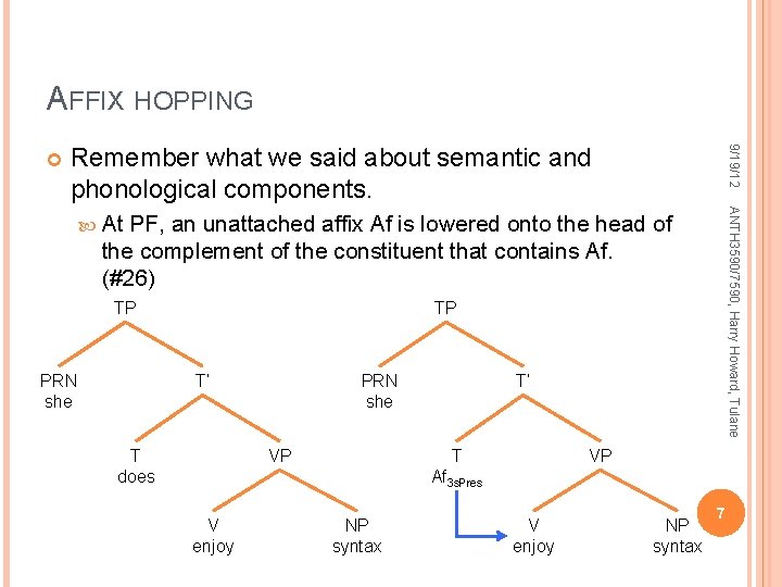 AFFIX HOPPING Remember what we said about semantic and phonological components. 9/19/12 ANTH 3590/7590,