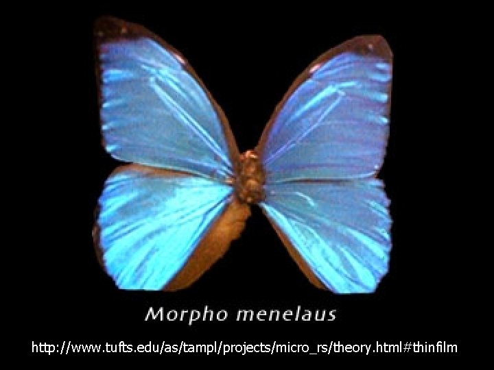 http: //www. tufts. edu/as/tampl/projects/micro_rs/theory. html#thinfilm 