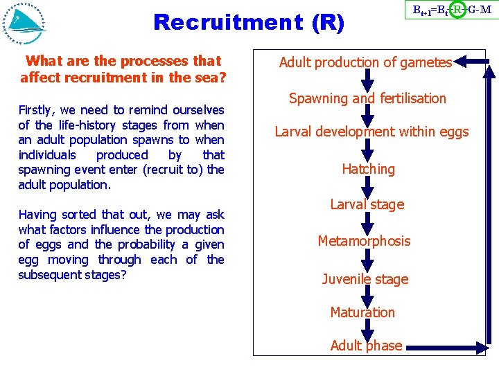 Recruitment (R) What are the processes that affect recruitment in the sea? Firstly, we