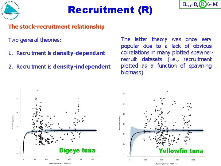Recruitment (R) Bt+1=Bt+R+G-M The stock-recruitment relationship Two general theories: 1. Recruitment is density-dependant 2.
