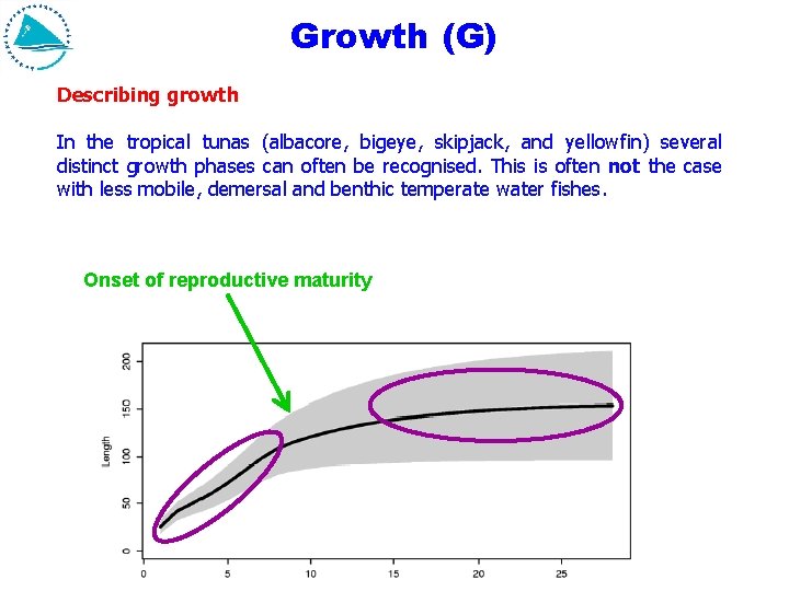 Growth (G) Describing growth In the tropical tunas (albacore, bigeye, skipjack, and yellowfin) several