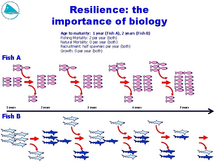 Resilience: the importance of biology Age to maturity: 1 year (Fish A), 2 years