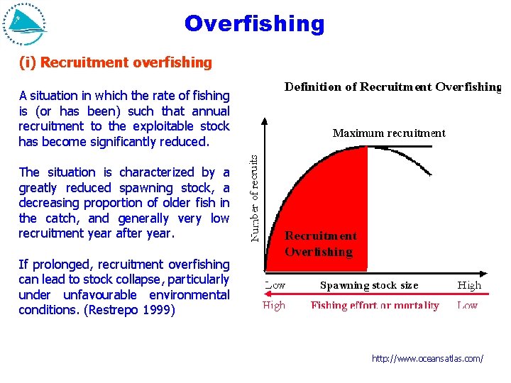 Overfishing (i) Recruitment overfishing A situation in which the rate of fishing is (or