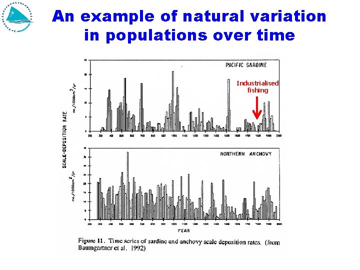 An example of natural variation in populations over time Industrialised fishing 