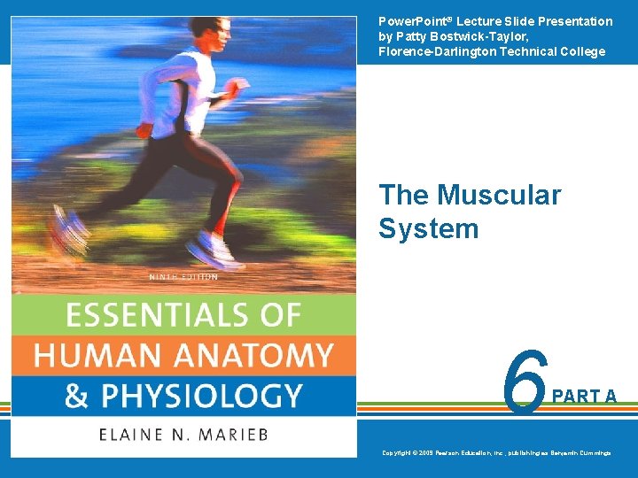 Power. Point® Lecture Slide Presentation by Patty Bostwick-Taylor, Florence-Darlington Technical College The Muscular System