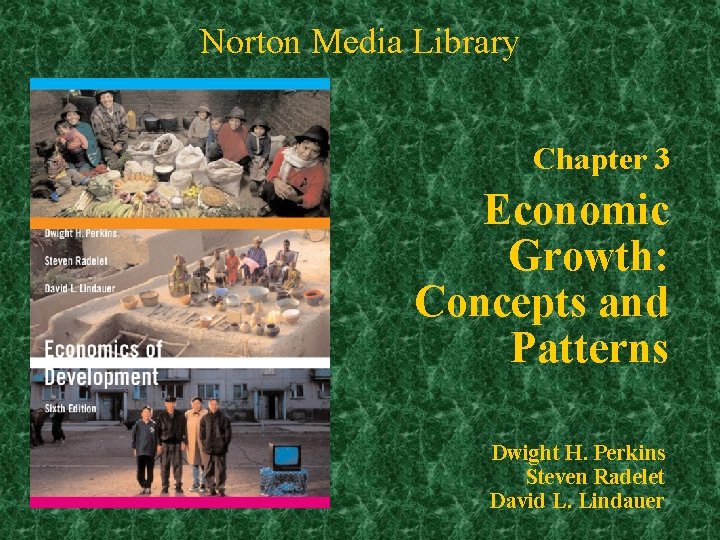 Norton Media Library Chapter 3 Economic Growth: Concepts and Patterns Dwight H. Perkins Steven