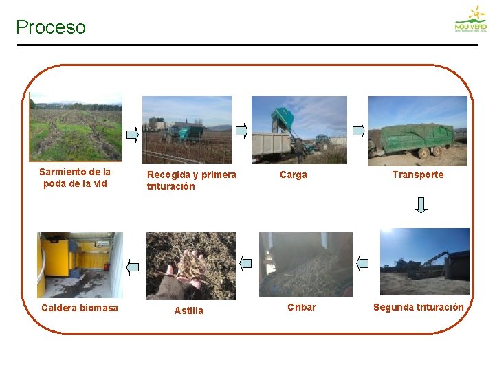 Proceso Sarmiento de la poda de la vid Caldera biomasa Recogida y primera trituración