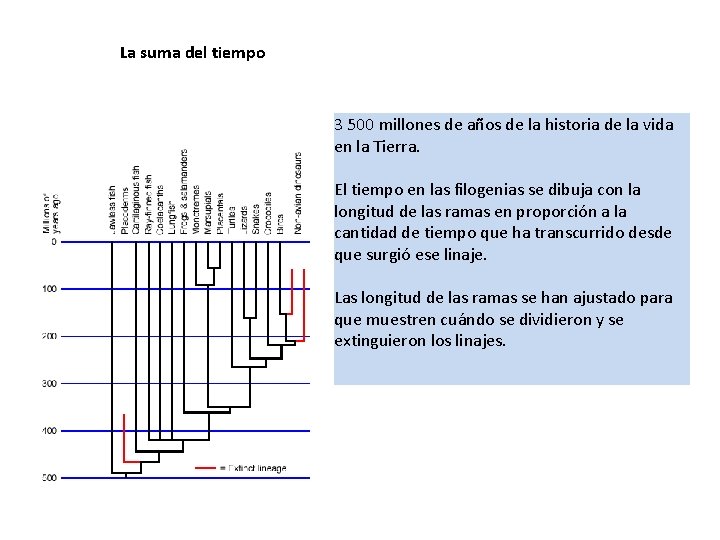 La suma del tiempo 3 500 millones de años de la historia de la