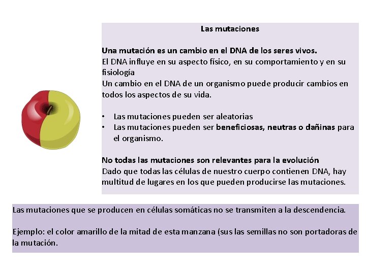 Las mutaciones Una mutación es un cambio en el DNA de los seres vivos.