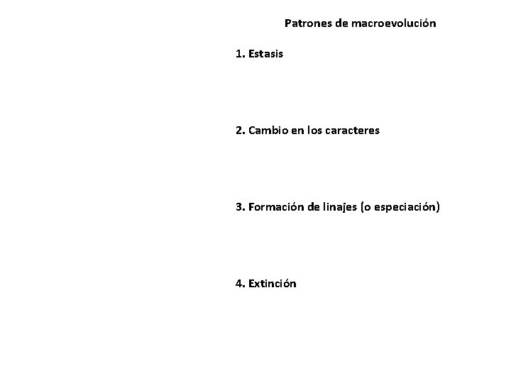 Patrones de macroevolución 1. Estasis 2. Cambio en los caracteres 3. Formación de linajes