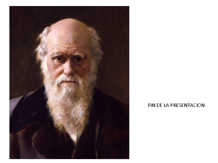 FIN DE LA PRESENTACION 