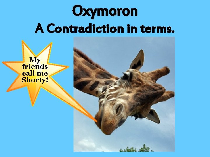 Oxymoron A Contradiction in terms. My friends call me Shorty! 