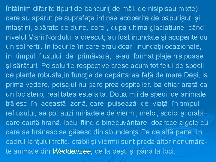 Întâlnim diferite tipuri de bancuri( de mâl, de nisip sau mixte) care au apărut