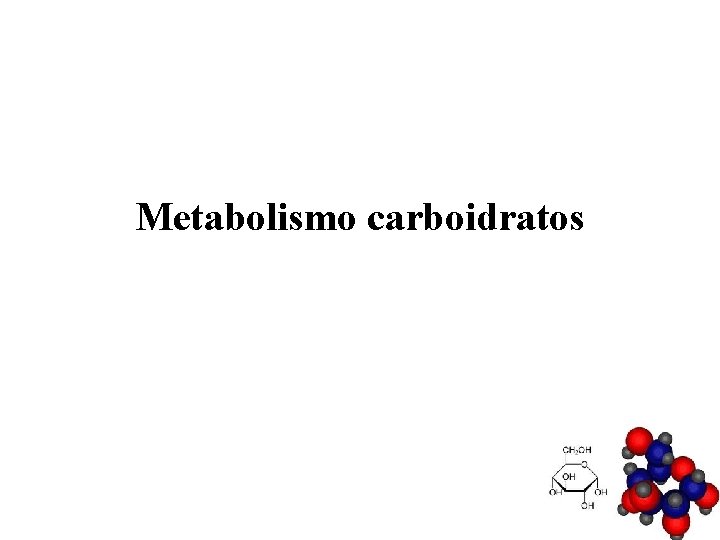 Metabolismo carboidratos 