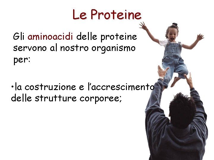 Le Proteine Gli aminoacidi delle proteine servono al nostro organismo per: • la costruzione