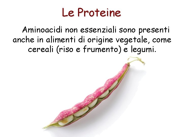 Le Proteine Aminoacidi non essenziali sono presenti anche in alimenti di origine vegetale, come