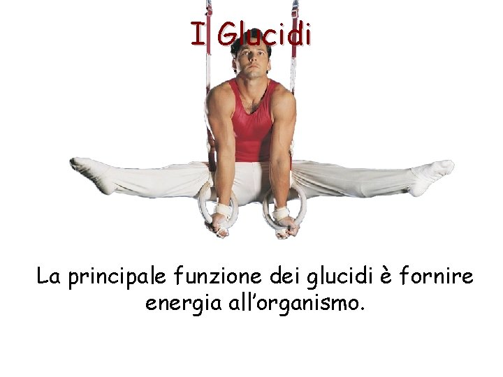 I Glucidi La principale funzione dei glucidi è fornire energia all’organismo. 