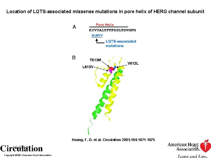 Location of LQTS-associated missense mutations in pore helix of HERG channel subunit Huang, F.