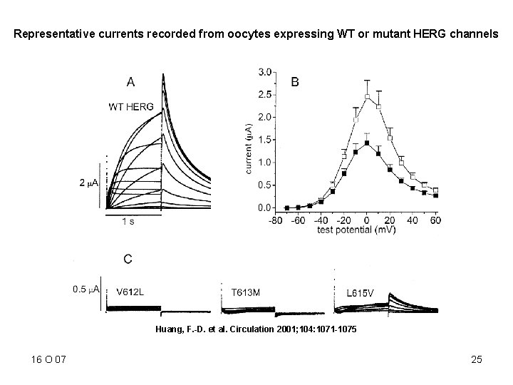 Representative currents recorded from oocytes expressing WT or mutant HERG channels Huang, F. -D.