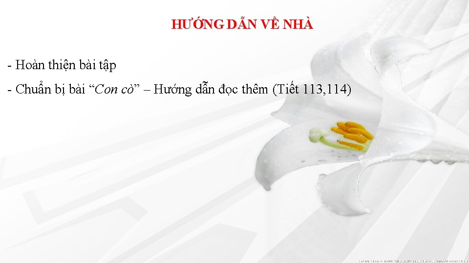 HƯỚNG DẪN VỀ NHÀ - Hoàn thiện bài tập - Chuẩn bị bài “Con