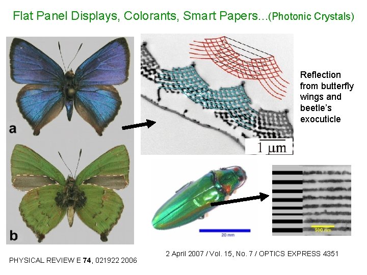 Flat Panel Displays, Colorants, Smart Papers…(Photonic Crystals) Reflection from butterfly wings and beetle’s exocuticle