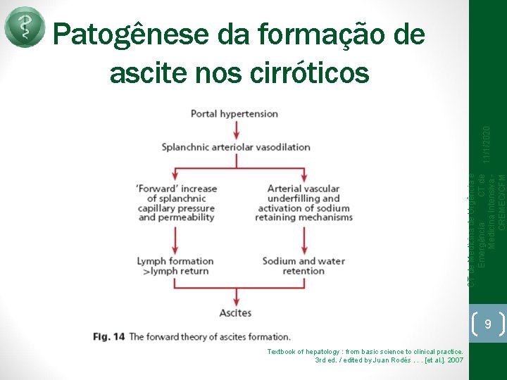 CT de Medicina de Urgência e Emergência CT de Medicina Intensiva CREMEC/CFM 11/1/2020 Patogênese