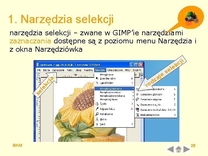 1. Narzędzia selekcji e j za le e s ji c k d ro