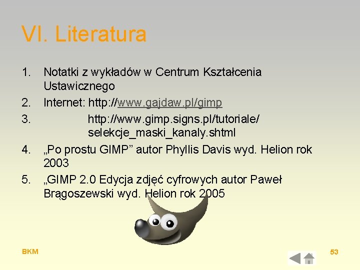 VI. Literatura 1. 2. 3. 4. 5. BKM Notatki z wykładów w Centrum Kształcenia