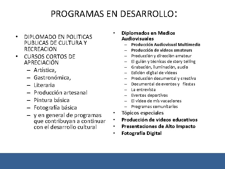  PROGRAMAS EN DESARROLLO: • • DIPLOMADO EN POLITICAS PUBLICAS DE CULTURA Y RECREACION