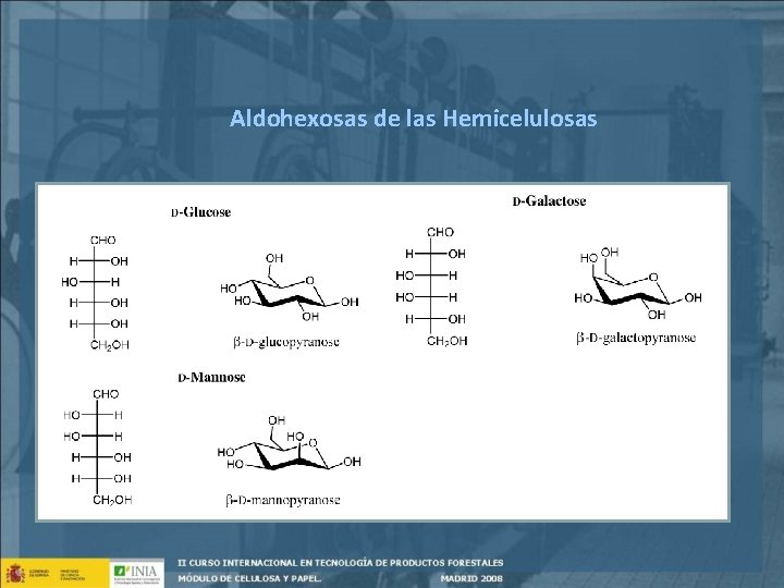 Aldohexosas de las Hemicelulosas 