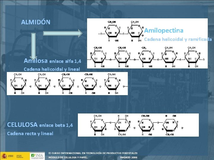 ALMIDÓN Amilopectina Cadena helicoidal y ramificada Amilosa enlace alfa 1, 4 Cadena helicoidal y