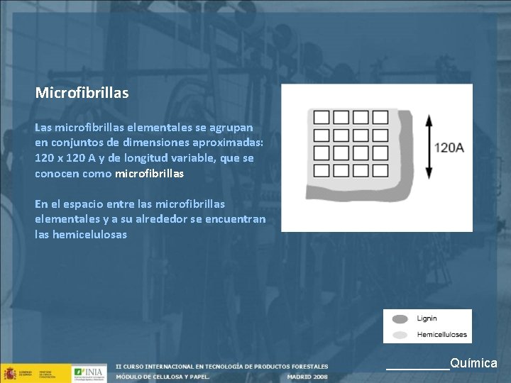 Microfibrillas Las microfibrillas elementales se agrupan en conjuntos de dimensiones aproximadas: 120 x 120