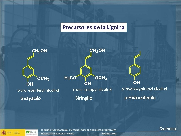 Precursores de la Lignina CH 2 OH OCH 3 OH trans -coniferyl alcohol Guayacilo