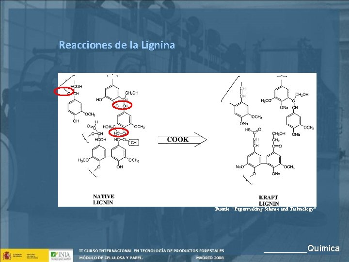 Reacciones de la Lignina Fuente: “Papermaking Science and Technology” _____Química 