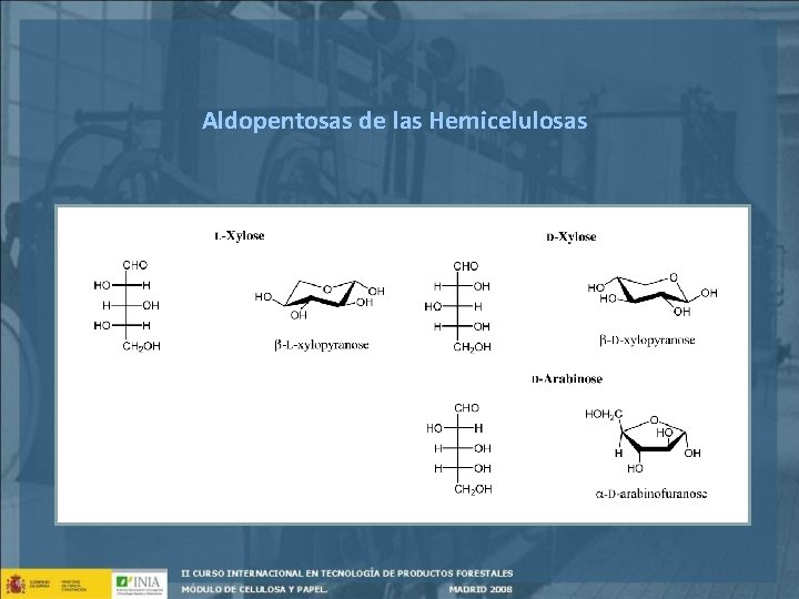 Aldopentosas de las Hemicelulosas 