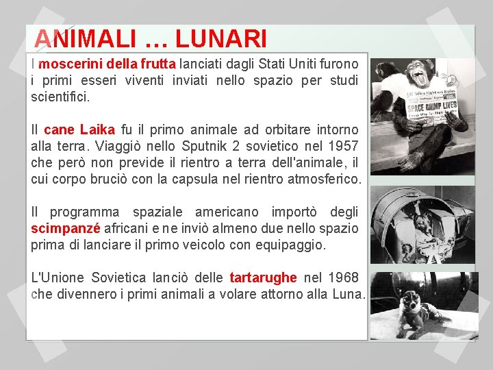 ANIMALI … LUNARI I moscerini della frutta lanciati dagli Stati Uniti furono i primi