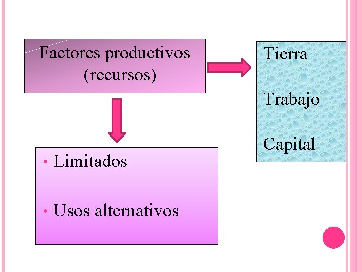 Factores productivos (recursos) Tierra Trabajo • Limitados • Usos alternativos Capital 