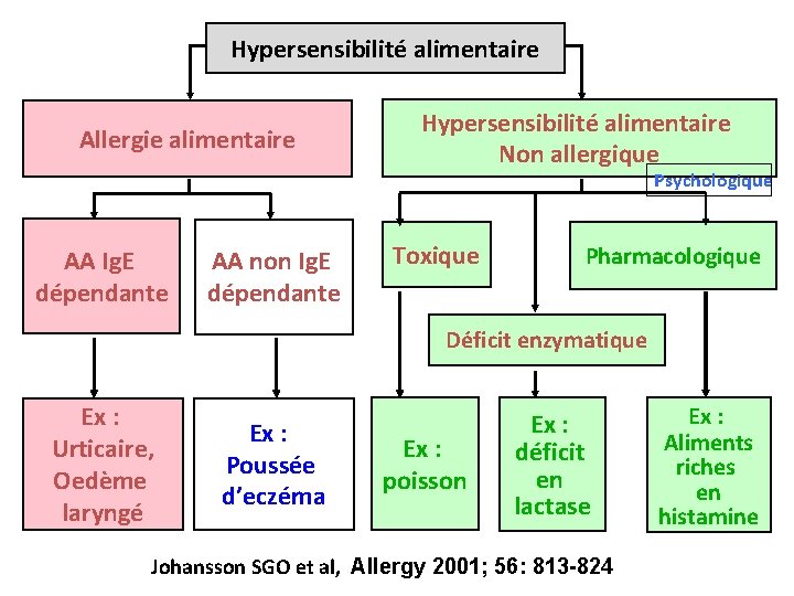 Hypersensibilité alimentaire Allergie alimentaire Hypersensibilité alimentaire Non allergique Psychologique AA Ig. E dépendante AA Hypersensibilité alimentaire Allergie alimentaire Hypersensibilité alimentaire Non allergique Psychologique AA Ig. E dépendante AA