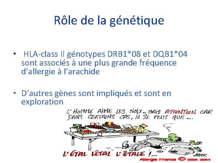 Rôle de la génétique • HLA-class II génotypes DRB 1*08 et DQB 1*04 sont