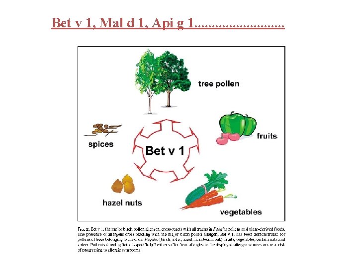 Bet v 1, Mal d 1, Api g 1. . . 