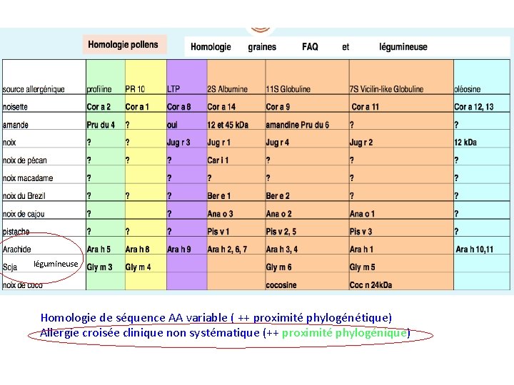 légumineuse Homologie de séquence AA variable ( ++ proximité phylogénétique) Allergie croisée clinique non