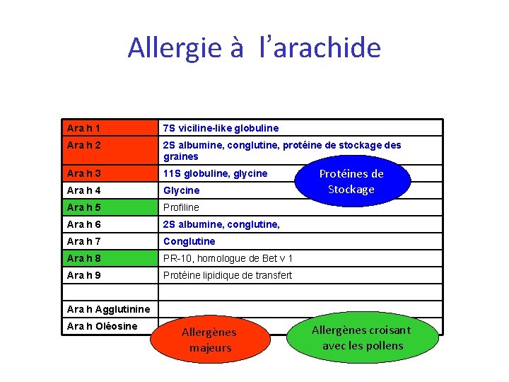 Allergie à l’arachide Ara h 1 7 S viciline-like globuline Ara h 2 2