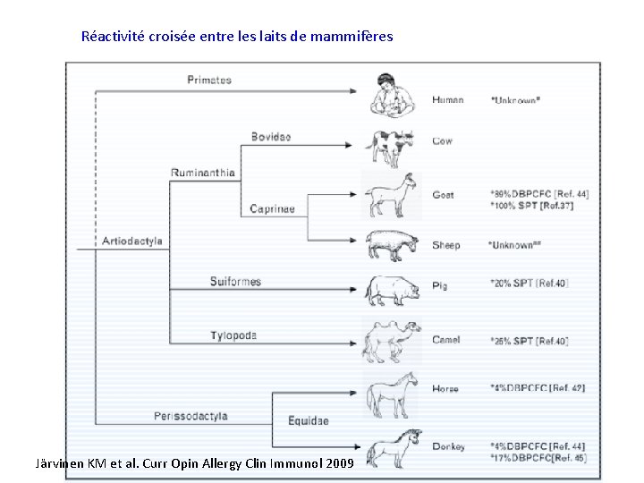 Réactivité croisée entre les laits de mammifères Järvinen KM et al. Curr Opin Allergy Réactivité croisée entre les laits de mammifères Järvinen KM et al. Curr Opin Allergy