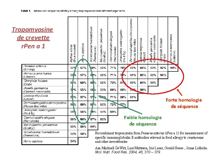 Tropomyosine de crevette r. Pen a 1 Forte homologie de séquence Faible homologie de