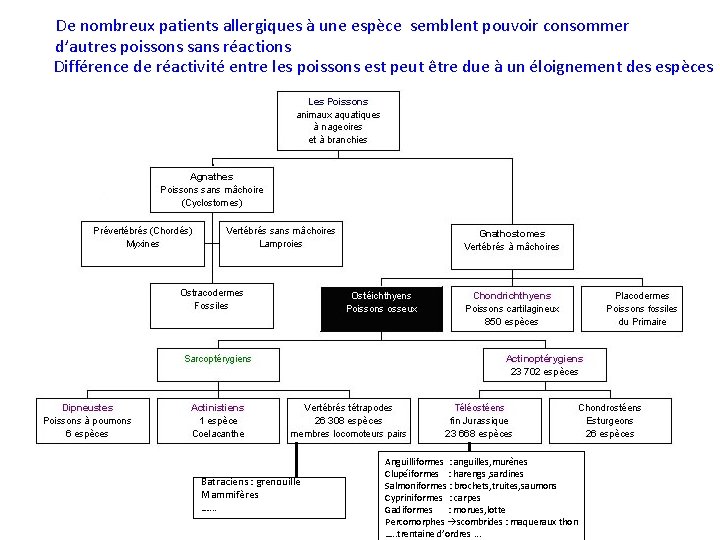 De nombreux patients allergiques à une espèce semblent pouvoir consommer d’autres poissons sans réactions