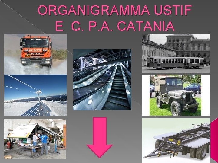 ORGANIGRAMMA USTIF E C. P. A. CATANIA 