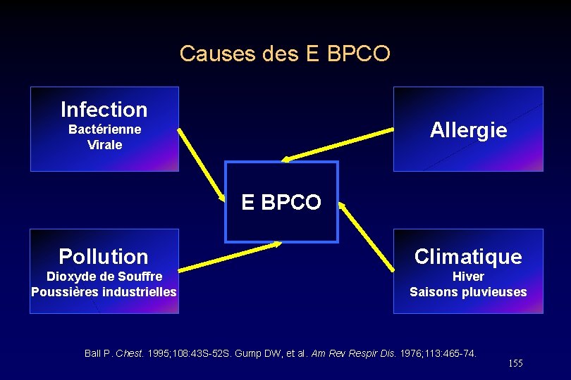Causes des E BPCO Infection Allergie Bactérienne Virale E BPCO Pollution Climatique Dioxyde de