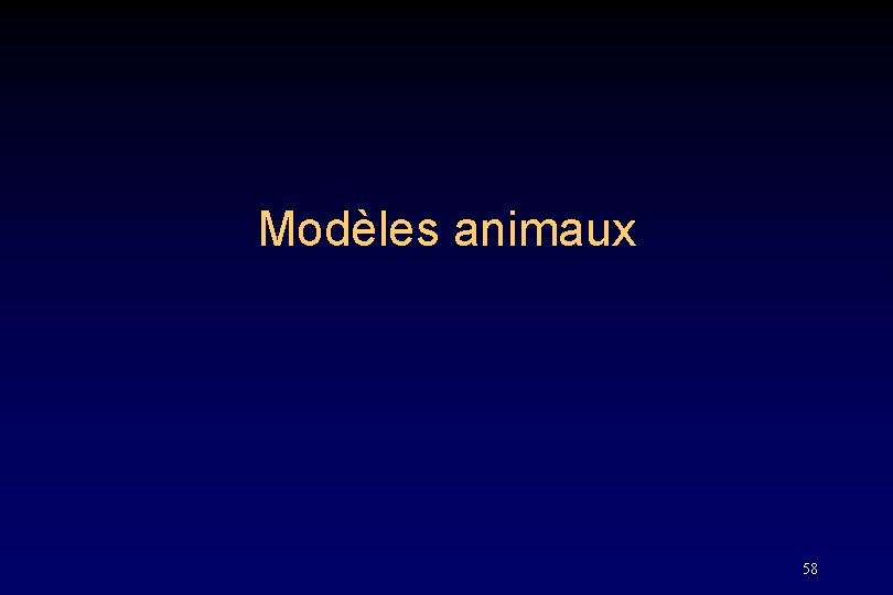 Modèles animaux 58 